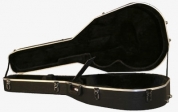 guitar bags & cases