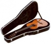 Guitar and bass cases