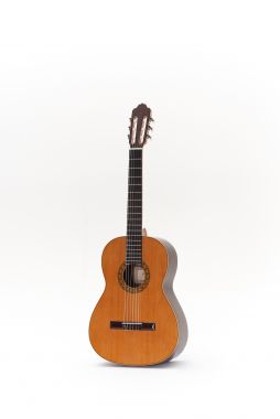 Esteve 1 classical guitar