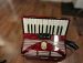 Walter Special pianoharmonikka