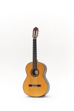 Esteve 11 classical guitar