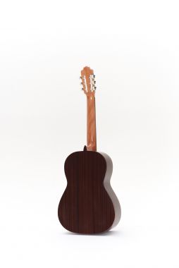 Esteve 12 classical guitar