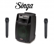 AudioDesignPRO M2 12"  with Singa
