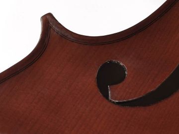 Leonardo Cello 3/4