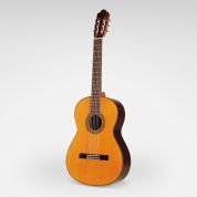 Esteve 7 classical solid guitar