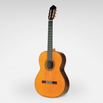 Esteve 8 classical solid guitar