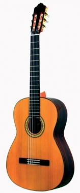 Esteve 6PS classical guitar