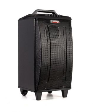 AudioDesignPRO M310WL akkukaiutin ja headset mikrofoni x2