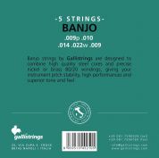 Galli Strings G210 5-kielisen banjon kielisetti