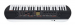 Casio SA-81 Casiotone kosketinsoitin 
