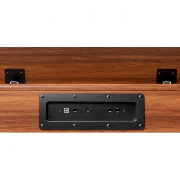 Donner DHP-100 Pro digipiano wood