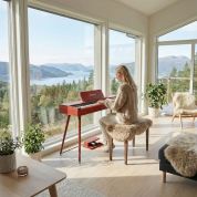 Donner DHP-200 Pro digipiano wood