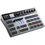 Donner Essential D1