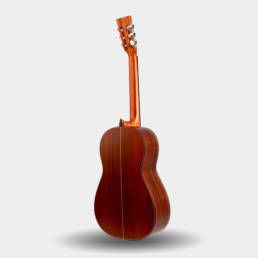 Esteve Fusion akustinen kitara takaa