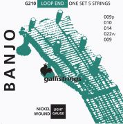 Galli Strings G210 5-kielisen banjon kielisetti