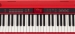 Roland Go Keys