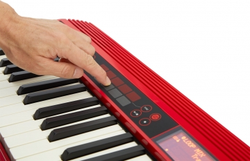 Roland Go Keys