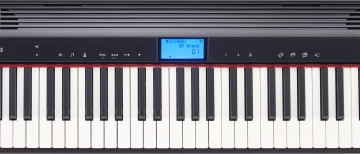 Roland GO:PIANO GO-61P