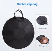 Raysen Handpan d-molli