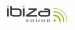 Ibiza Sound VHF2H kahden langattoman mikrofonin järjestelmä