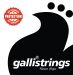 Galli strings logo