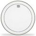 Remo Pinstripe 20" drum head for a bass drum