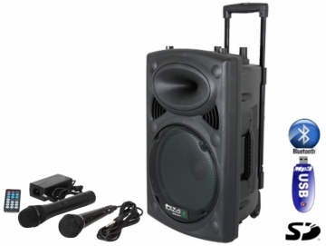 ibiza Sound 500W active speaker + 2 mics + Singa internet karaoke