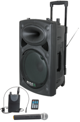 ibiza Sound 800W active speaker + 2 mics + Singa internet karaoke