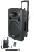 ibiza Sound 800W active speaker + 2 mics + Singa internet karaoke