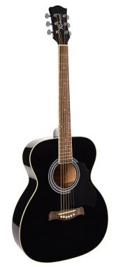 Richwood Artist RA-12BK