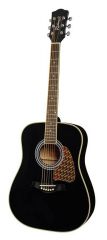 Richwood RD16BK acoustic guitar