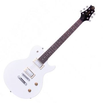 Greg Bennet AV-1 electric guitar