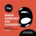 ibiza Sound 800W active speaker + 2 mics + Singa internet karaoke