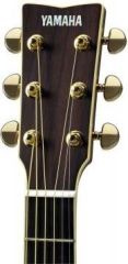 Yamaha LL6 A.R.E BS (Brown Sunburst)  teräskielinen kitara